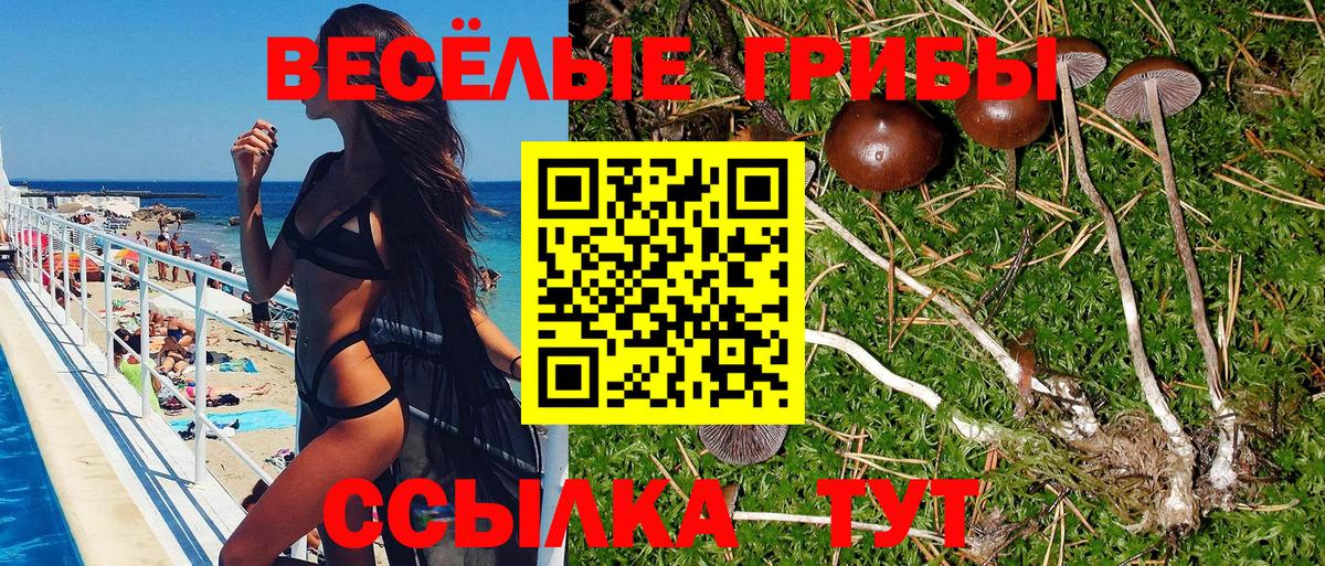 Псилоцибиновые грибы прущие грибы Удомля