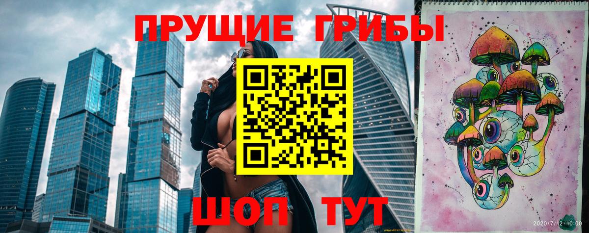 Галлюциногенные грибы Psilocybine cubensis  Вход с VPN  Удомля 